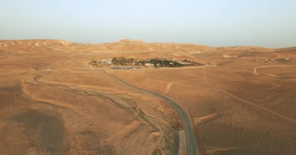 空中俯瞰一片绿树成荫的绿洲 沙漠边缘的农田 四周环绕着群山 — 图库视频影像