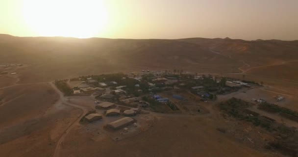 Drone Aéreo Disparado Alrededor Green Village Desierto Amarillo — Vídeo de stock