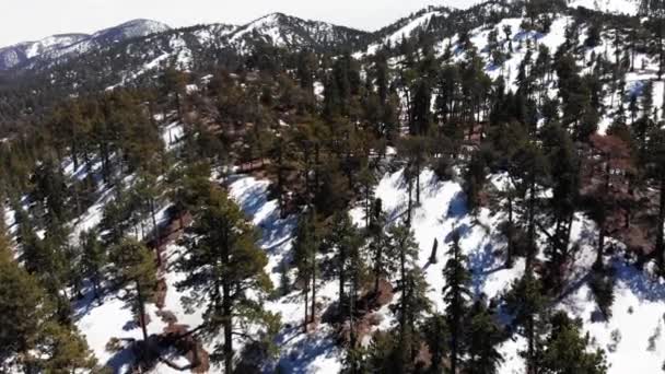 Perspectiva Aérea Cordilheiras Geladas Big Bear Califórnia Durante Primavera — Vídeo de Stock