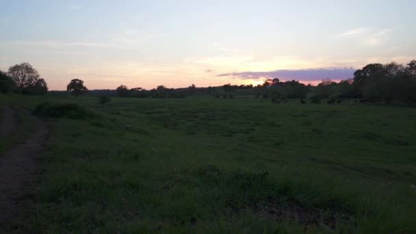 Langsamer Schwenk Über Felder Zur Burgruine Kenilworth Bei Sonnenuntergang — Stockvideo