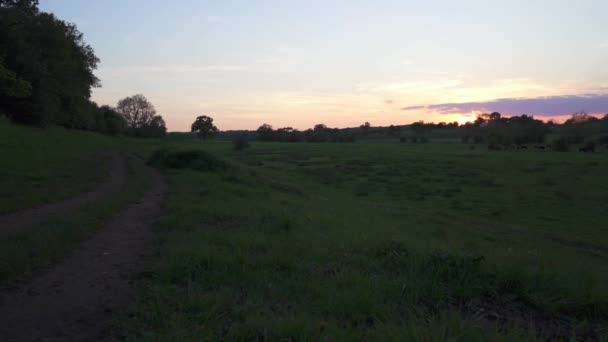 Ruhiger Sonnenuntergang Einem Ländlichen Feld Der Englischen Landschaft Kenilworth — Stockvideo