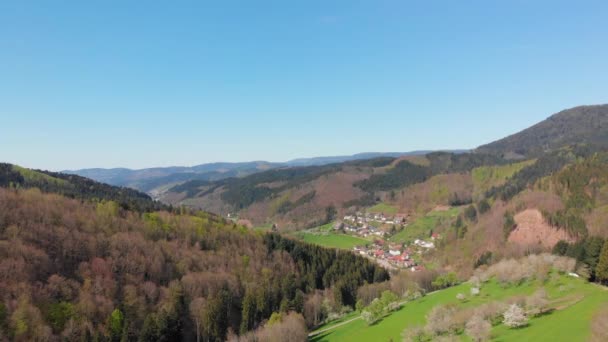 德国黑森林环绕的山谷中一个小村庄的空中基地 — 图库视频影像