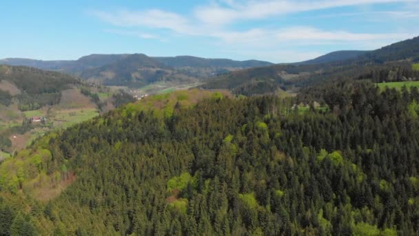 Letecký Pohled Les Údolí Černého Lesa Německo Hory Pozadí Slunečného — Stock video