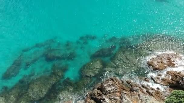 Виявилось Якорі Затоці Острови Нова Зеландія Знайшли Вітрильник — стокове відео