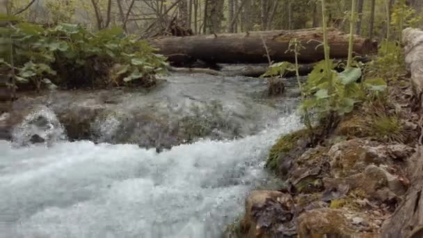 Швидка Вода Водоспади Плітвіцького Національного Парку Хорватії — стокове відео