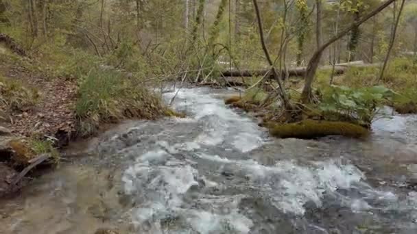 Snabbflytande Vatten Och Vattenfall Nationalparken Plitvice Kroatien — Stockvideo