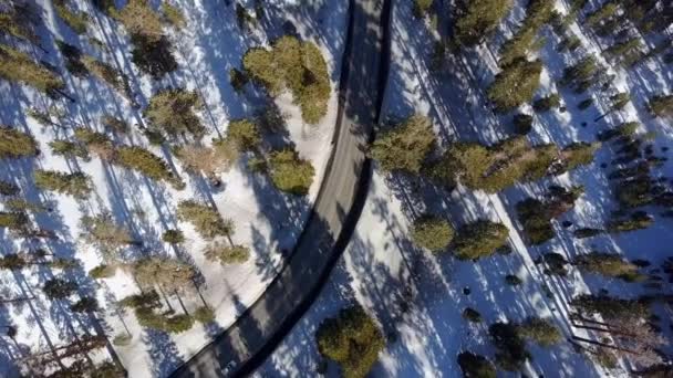 Aerial Ovanför Skogen Med Bil Körning — Stockvideo