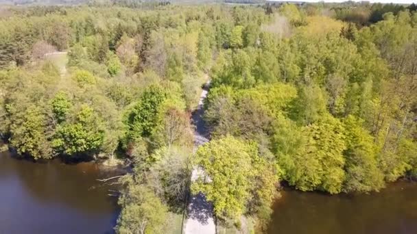 Brücke Über Einen See Luftaufnahme Auto Fährt Auf Einer Brückenantenne — Stockvideo