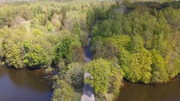 橋の上に湖の空中ショット 映画的後方カメラの動き 晴れた日 緑の木 2019年春 ポーランド — ストック動画