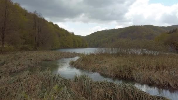 Les Forêts Les Lacs Parc National Plitvice Croatie — Video