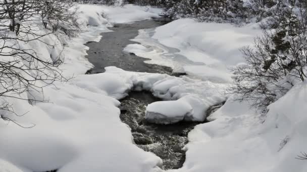 Time Lapse Small Stream French Alps Has Snow Covered Sides — Stock Video