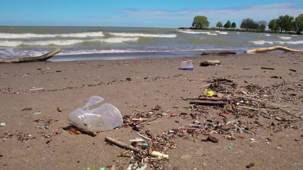 Müll Strand Cleveland Ohio Großer Eriesee Mit Einwegplastik Und Anderem — Stockvideo