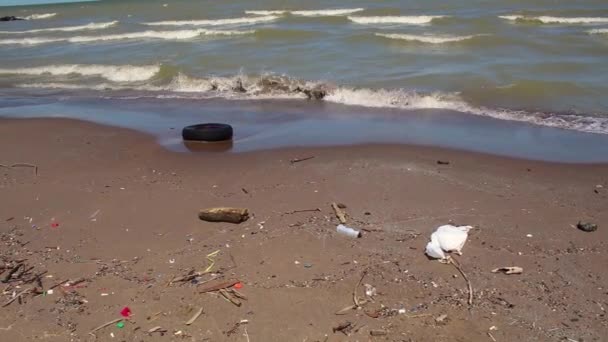 Müll Strand Cleveland Ohio Großer Eriesee Mit Einwegplastik Und Anderem — Stockvideo