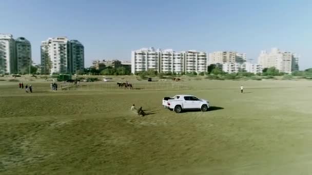 Caminho Limpeza Toyota 4X4 Branco Deserto — Vídeo de Stock