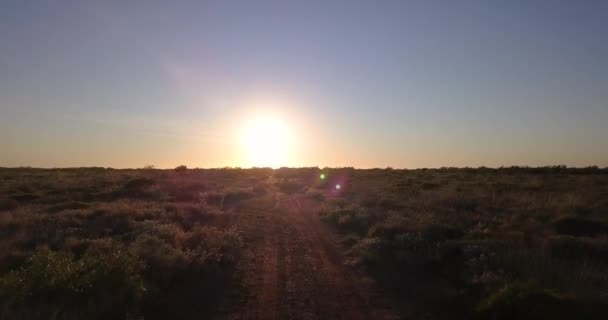 Sonnenaufgang Frühen Morgen Australischen Outback Luftaufnahme — Stockvideo