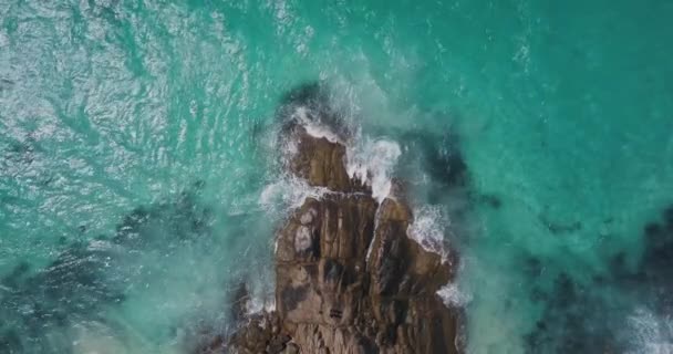 Пташиний Погляд Хвилі Зустрічає Скелясте Узбережжя Австралії Вигляд Висоти Повітря — стокове відео