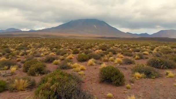 南美洲阿塔卡马沙漠Lascar Volcano地面附近的空中接近 — 图库视频影像