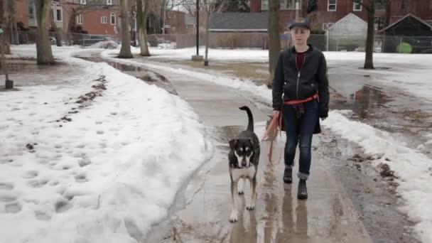 雪の中を犬の散歩をしている若者 — ストック動画