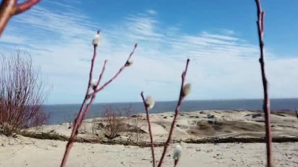 Journée Ensoleillée Bord Mer Baltique Dans Les Dunes — Video