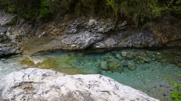 Cascada Río Val Vertova Cerca Bérgamo Valle Seriana Italia — Vídeo de stock