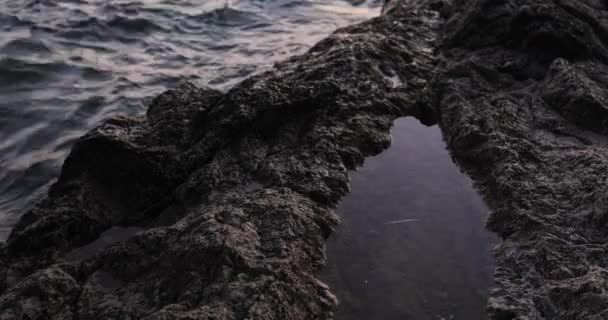 Vista Dall Alto Uno Scoglio Sulla Spiaggia Alghero Isola Sardegna — Video Stock