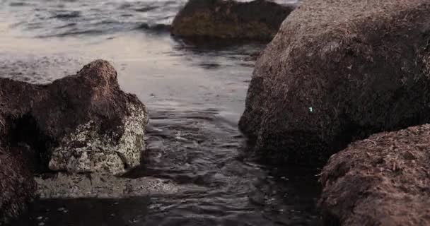 Movimenti Onde Marine Tra Enormi Rocce Marine Sulla Spiaggia Alghero — Video Stock