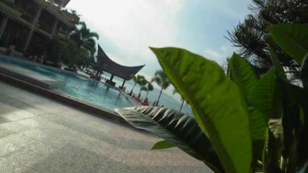 Lake Toba Resort Pool Zeitlupe Mit Drehung Vorbei Palmenblättern Auf — Stockvideo