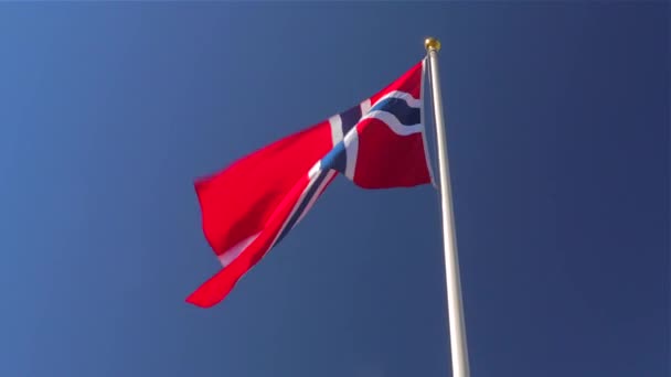Norsk Flag Vinden – Stock-video