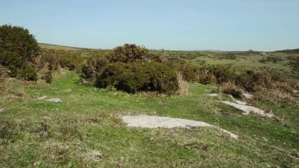 Panoramique Lente Vers Les Rochers Shar Tor Sur Parc National — Video