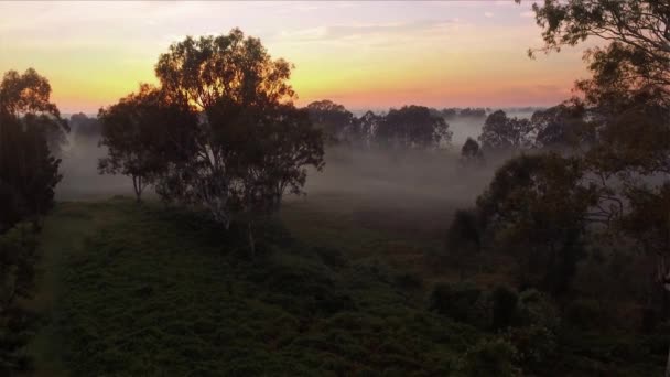 クイーンズランド州の奥地で美しい霧の日の出の素晴らしいドローン上昇ショットオーストラリア — ストック動画