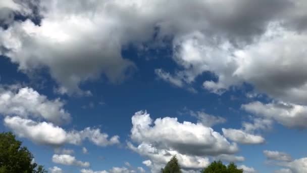 积雨云在树梢上方的蓝天中移动 时间流逝 — 图库视频影像