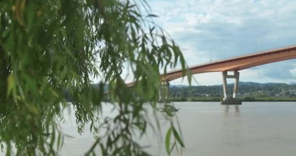 Ива Показывает Лодку Реке Мост Заднем Плане Замедленная Съемка — стоковое видео