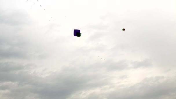 Fågelgrupp Flyger Med Drakar Den Molniga Himlen Den Traditionella Handgjorda — Stockvideo