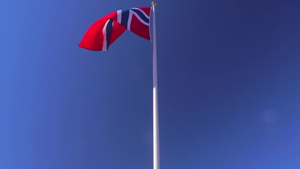 Norská Vlajka Větru — Stock video