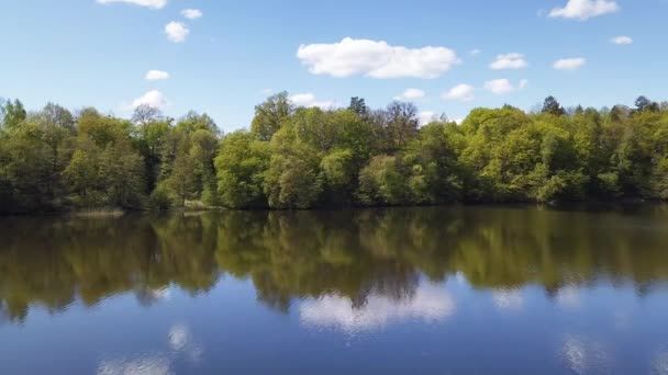 Antenne Kleiner See Umgeben Von Grünen Bäumen Schuss Aus Einer — Stockvideo