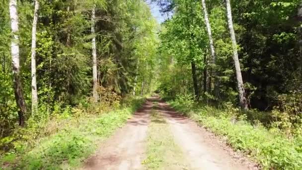 Skogsvägen Oasfalterad Yta Flyger Drönare Genom Skogen Gröna Träd Solig — Stockvideo