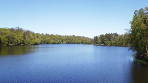 Aéreo Pequeno Lago Rodeado Por Árvores Verdes Céu Azul Nuvens — Vídeo de Stock