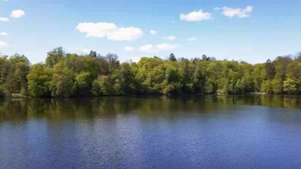 Aéreo Pequeno Lago Rodeado Por Árvores Verdes Atingido Por Drone — Vídeo de Stock