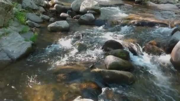 Yüzeye Yakın Bir Yerde Nehirde Bir Sürü Kaya Var — Stok video