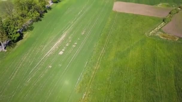 Landelijke Luchtfoto Pools Platteland Klein Dorp Velden Huizen Drone Beelden — Stockvideo