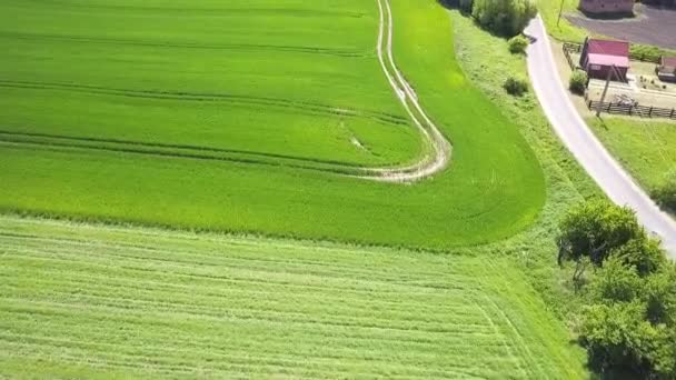 Luftaufnahme Aus Der Landschaft Polnische Landschaft Kleines Dorf Felder Und — Stockvideo