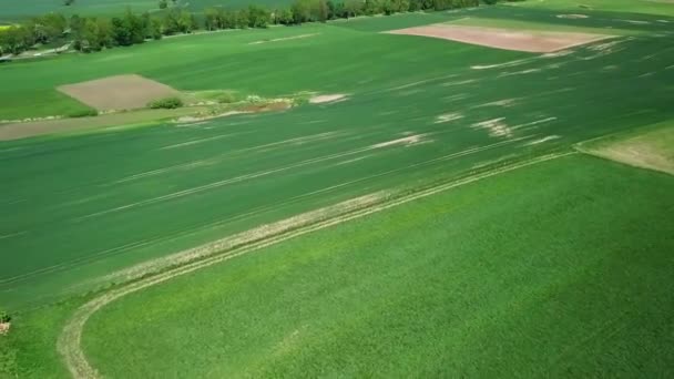 Landelijke Luchtfoto Pools Platteland Platteland Velden Huizen Drone Beelden Camera — Stockvideo