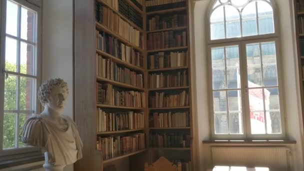 Hermosa Biblioteca Antigua Con Estantes Libros Altos Cerca Ventana — Vídeo de stock