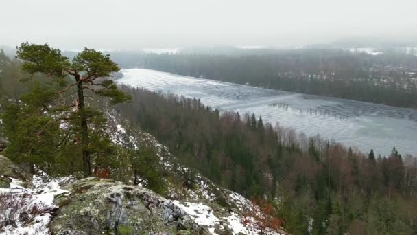 Incline Vista Ângulo Alto Tops Árvore Misty Lake Durante Inverno — Vídeo de Stock