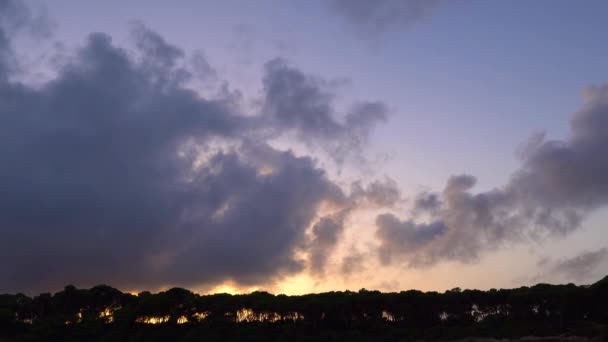 Cepat Bergerak Awan Atas Garis Pohon Saat Matahari Terbenam Pulau — Stok Video