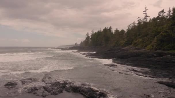ドローンはバンクーバー島の西海岸の海岸線をポートレンフリューで撮影 — ストック動画