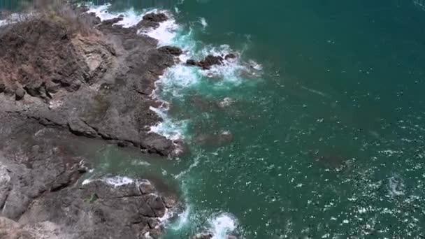 Birds Eye Footage Drone Aérien Dessus Côte Costa Rica Océan — Video