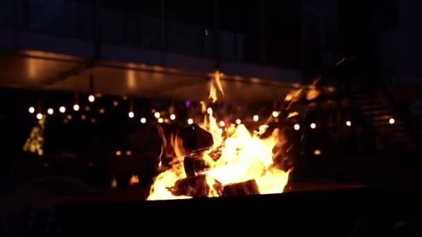 Feuerstelle Mit Brennendem Holz Der Nacht — Stockvideo