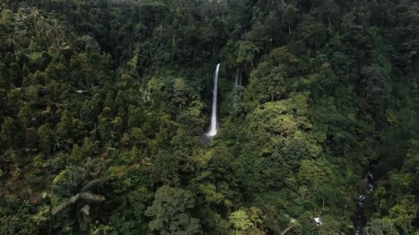 Bali Secumpul Cascata Grombong Nella Giungla Montagna — Video Stock