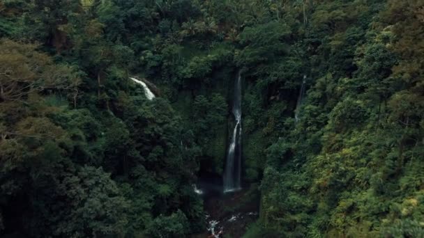 Bali Campi Riso Terrazza Cascata Nella Giungla Montagna — Video Stock